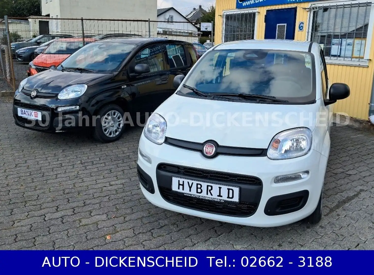 Fiat Panda 1.0 Hybrid-CITY-PACK+eFH-Radio DAB-PDC Weiß - 1