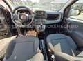 Fiat Panda 1.0 Hybrid-CITY-PACK+eFH-Radio DAB-PDC Weiß - thumbnail 9