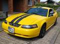 Ford Mustang EZ 2004, einer der letzten Baureihe 2003 Gelb - thumbnail 3