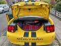 Ford Mustang EZ 2004, einer der letzten Baureihe 2003 Gelb - thumbnail 11