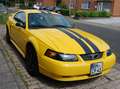 Ford Mustang EZ 2004, einer der letzten Baureihe 2003 Gelb - thumbnail 2