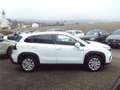 Suzuki S-Cross 1.4 GL+ HYBRID ALLGRIP L3V01 Shine Blanco - thumbnail 9