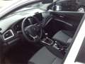 Suzuki S-Cross 1.4 GL+ HYBRID ALLGRIP L3V01 Shine Blanco - thumbnail 10