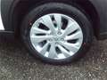 Suzuki S-Cross 1.4 GL+ HYBRID ALLGRIP L3V01 Shine Blanco - thumbnail 24