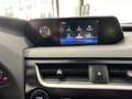 Lexus UX 250h Business 2WD Grijs - thumbnail 20