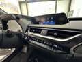 Lexus UX 250h Business 2WD Grijs - thumbnail 37