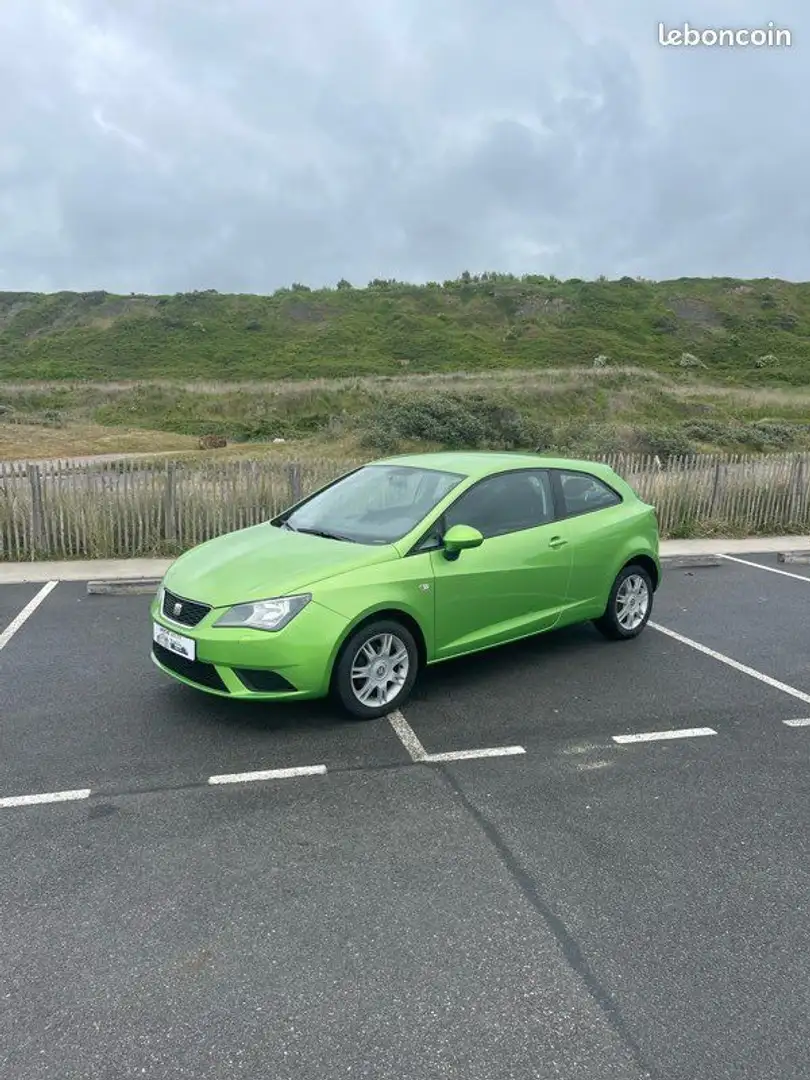 SEAT Ibiza Vert - 1
