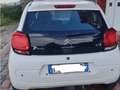 Citroen C1 Bianco - thumbnail 4