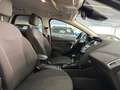Ford Focus 1.0 Turnier Titanium*Keyless*Lenk.Hz*PDC* Braun - thumbnail 8