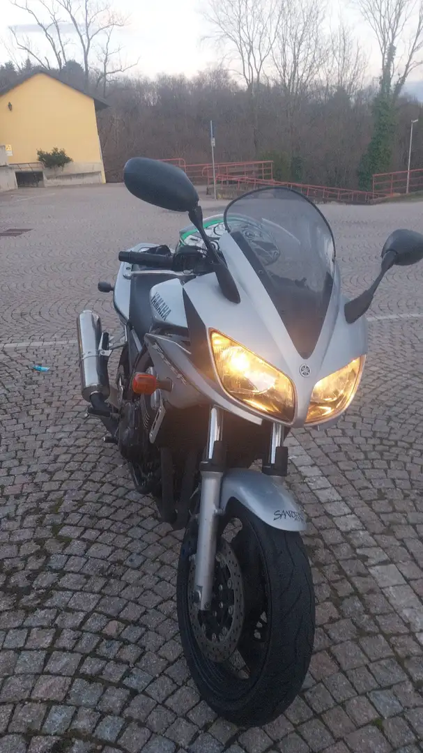 Yamaha FZR 600 Stříbrná - 1