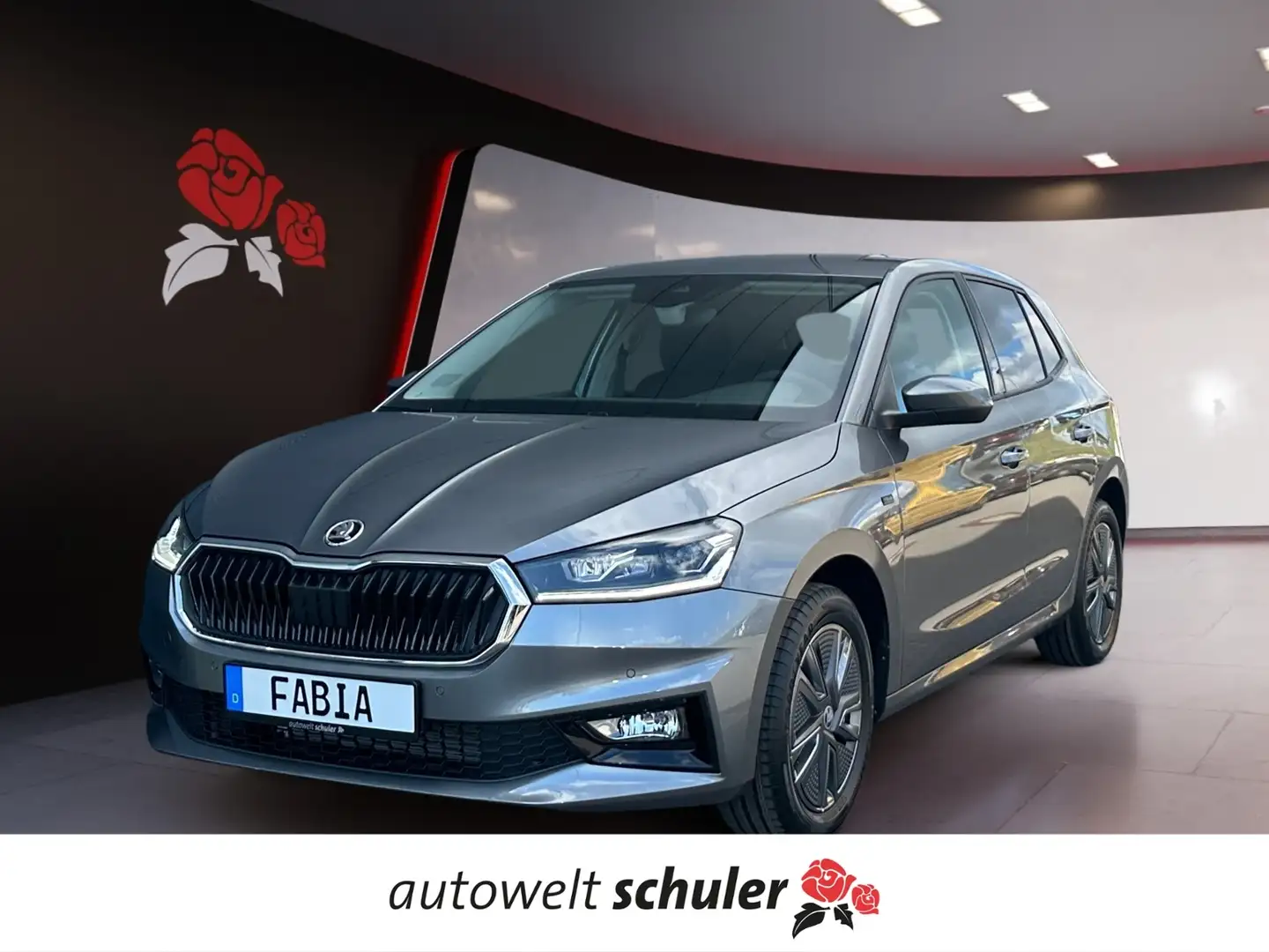 Skoda Fabia TOUR 1.0 TSI LED PDC WINTER-PLUS Grau - 1