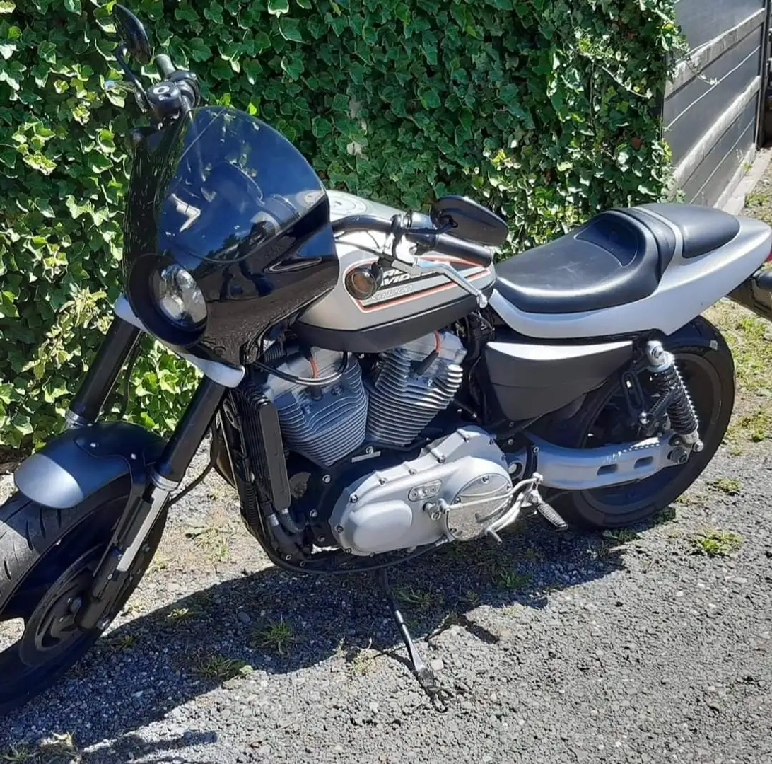 Harley-Davidson Sportster 1200 PEBMSO Gris - 1