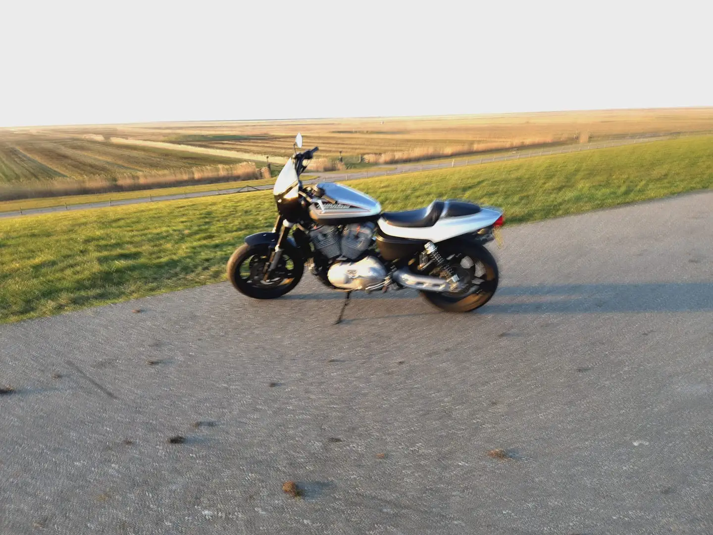 Harley-Davidson Sportster 1200 PEBMSO Gris - 2