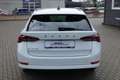 Skoda Octavia 2.0 TDI 'Clever' #KAM #NAVI #SITZHZG Weiß - thumbnail 5