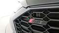 Audi RS5 Sportback 2.9 tfsi competition plus quattro 450cv Gris - thumbnail 22