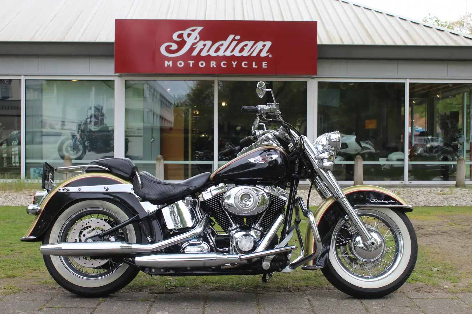 Harley-Davidson Softail FLSTN Deluxe Zelená - 1