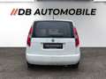 Skoda Roomster Roomster Praktik Business 1,6 TDI CR Weiß - thumbnail 6