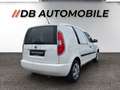 Skoda Roomster Roomster Praktik Business 1,6 TDI CR Weiß - thumbnail 5