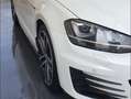 Volkswagen Golf 5p 2.0 tdi Gtd Business&Drive Bianco - thumbnail 3
