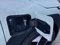 Kia EV3 Plus Advanced 81.4 kWh | Direct beschikbaar | Carp Groen - thumbnail 15
