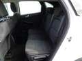Ford Kuga 1,5 EcoBlue Cool & Connect Weiß - thumbnail 11