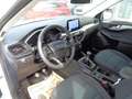 Ford Kuga 1,5 EcoBlue Cool & Connect Weiß - thumbnail 9