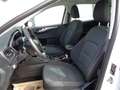 Ford Kuga 1,5 EcoBlue Cool & Connect Weiß - thumbnail 10