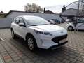 Ford Kuga 1,5 EcoBlue Cool & Connect Weiß - thumbnail 6