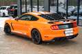 Ford Mustang GT 5.0 PREMIUM GT/SHELBY FC.LIFT VOLLLL! Orange - thumbnail 6