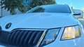 Skoda Octavia Wagon 1.6 tdi Executive 115cv dsg Weiß - thumbnail 6