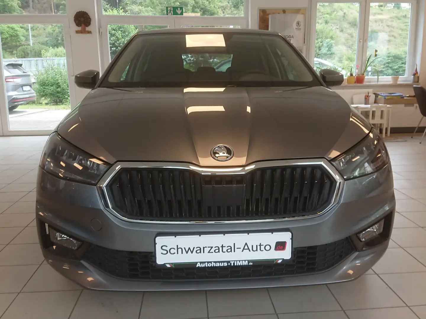 Skoda Fabia Top-Selection DSG Grau - 1