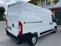 Fiat Ducato Citroen Jumper 2,2eHDI PM-TM 140CV Blanc - thumbnail 3