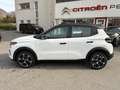 Citroen C3 C3 IV 2024 1.2 hybrid Plus 110cv edcs6 Bianco - thumbnail 2