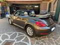 Volkswagen Beetle Cabrio 1.4 tsi Sport 160cv dsg - thumbnail 11
