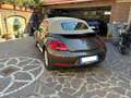 Volkswagen Beetle Cabrio 1.4 tsi Sport 160cv dsg - thumbnail 3