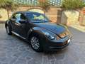 Volkswagen Beetle Cabrio 1.4 tsi Sport 160cv dsg - thumbnail 2