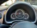 Volkswagen Beetle Cabrio 1.4 tsi Sport 160cv dsg - thumbnail 13