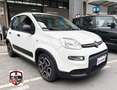 Fiat Panda Panda III 2021 1.0 firefly hybrid City Life s Bianco - thumbnail 2