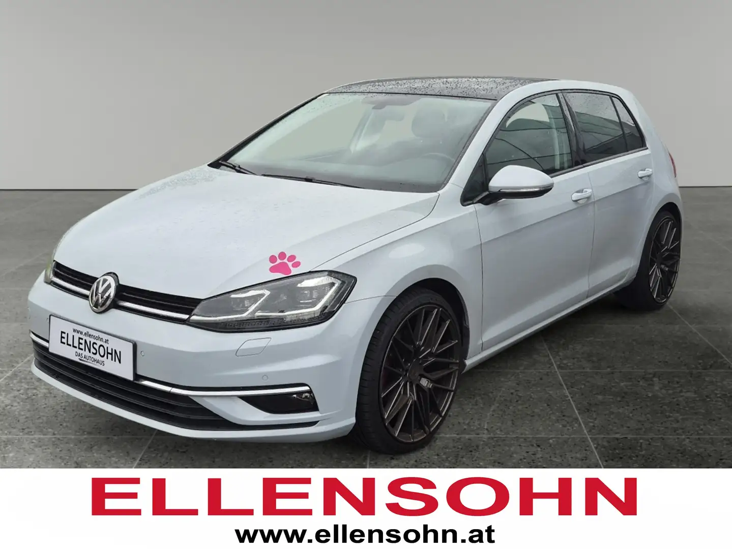 Volkswagen Golf Rabbit 40 1,6 TDI Grau - 1