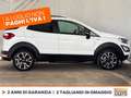 Ford EcoSport 1.0 ecoboost active s&s 125cv Bianco - thumbnail 5
