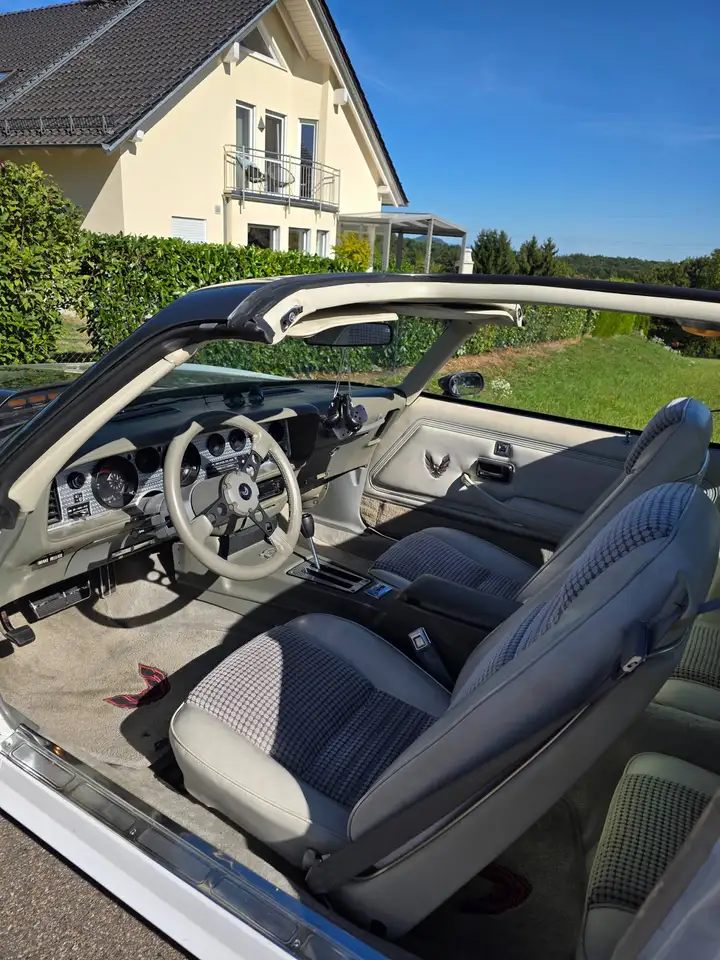 Pontiac Targa Trans Am Turbo Pace Car, foto 10