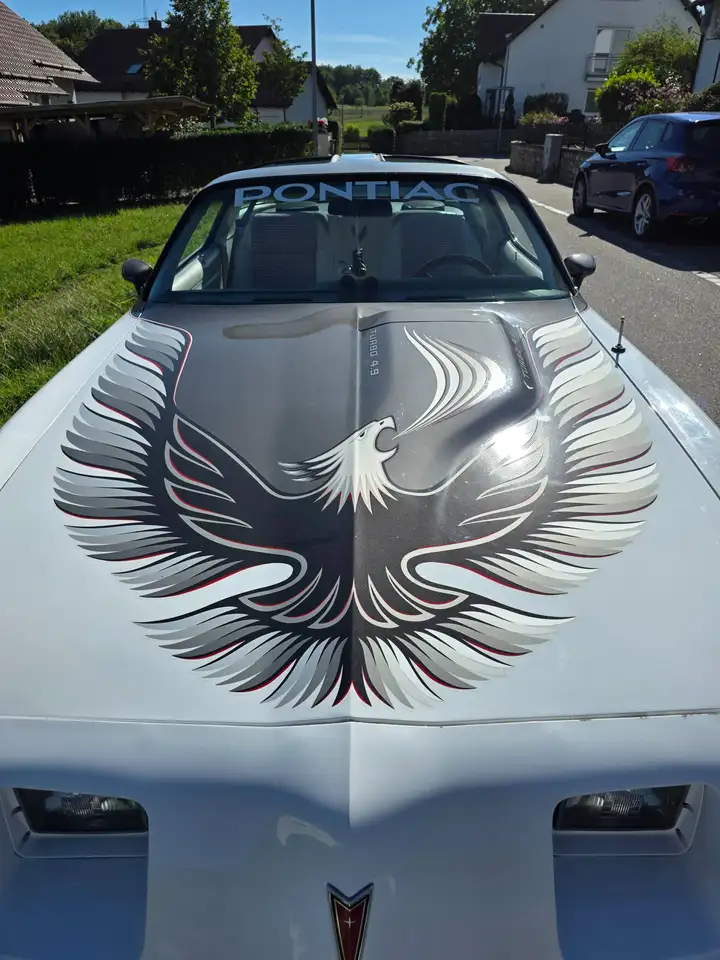 Pontiac Targa Trans Am Turbo Pace Car, foto 9