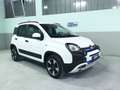 Fiat Panda CROSS HYBRID 2024 Bianco - thumbnail 2