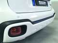 Fiat Panda CROSS HYBRID 2024 Bianco - thumbnail 6