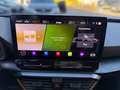 CUPRA Leon 1.5 eTSI DSG NAVI ACC LED SHZ Kamera Grau - thumbnail 9