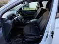 Hyundai TUCSON 1.6 CRDI 48V DCT Exellence NAVI - LED - ACC - 19 Blanc - thumbnail 9