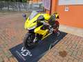 Aprilia RS 660 Oro - thumbnail 3