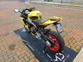 Aprilia RS 660 Oro - thumbnail 5