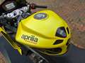 Aprilia RS 660 Oro - thumbnail 13