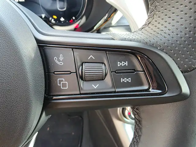 Alfa Romeo Tonale view 25